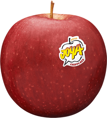 Pomme Joya